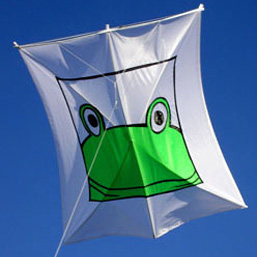 1m square with appliqued frog