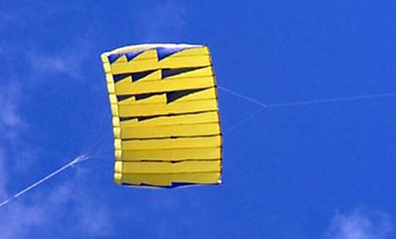 Two colour parafoil 20 in flight