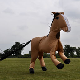 4m horse windsock