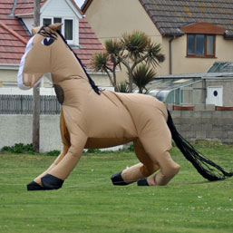 4m horse at prestatyn